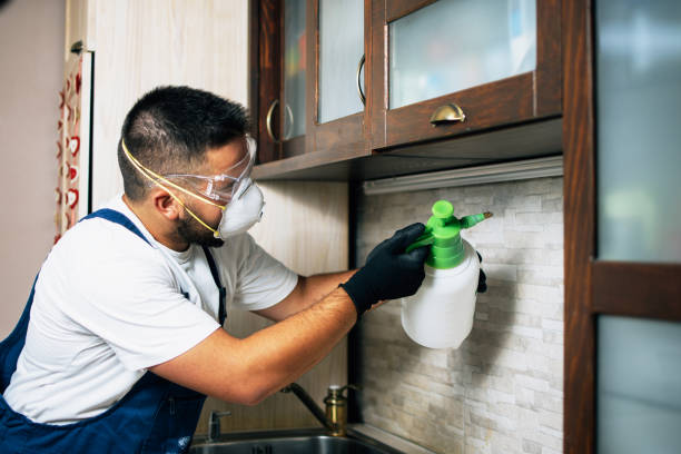 Best Flea Control Services  in Web, AL
