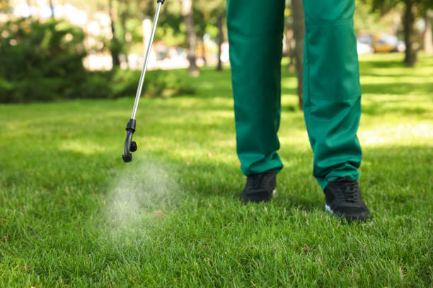 Best Cockroach Control Services  in Web, AL