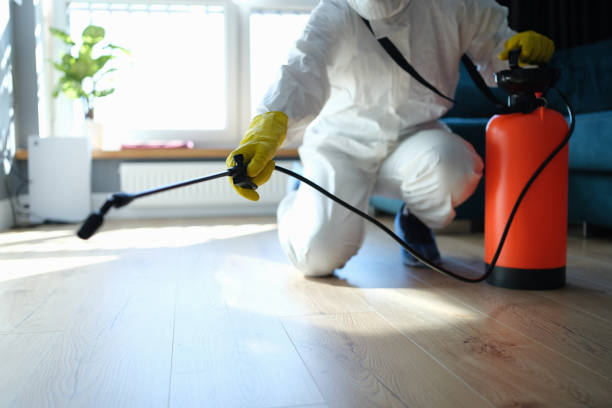 Best Pest Removal Services  in Web, AL