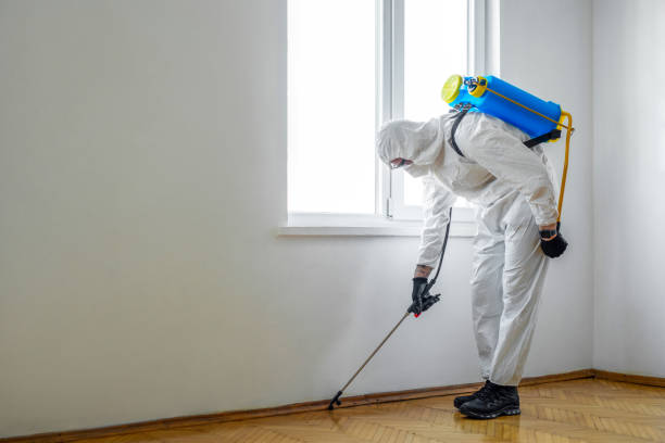 Best Bed Bug Extermination  in Web, AL
