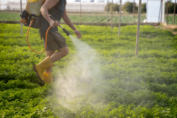 Best Pest Control Near Me  in Web, AL
