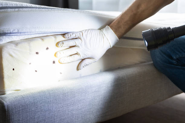 Best Wildlife Control Services  in Web, AL