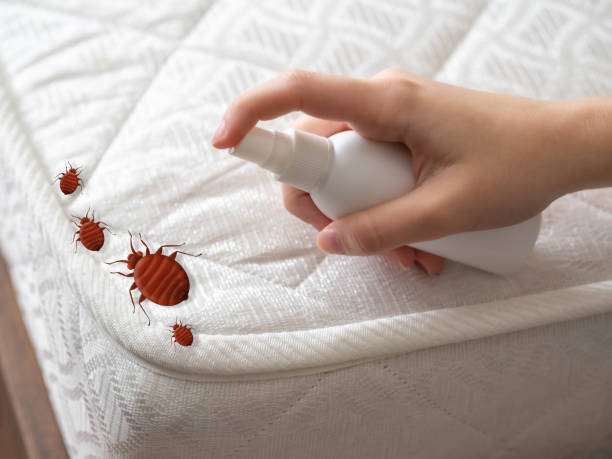 Best Best Pest Control Companies  in Web, AL