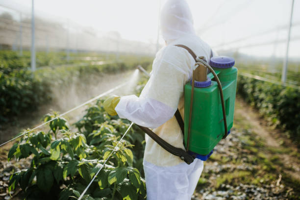 Best Pest Inspection Near Me  in Web, AL